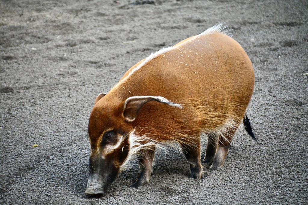 Lo Santo no es para todo el mundo