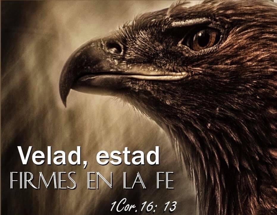 Los niños y el ocultismo