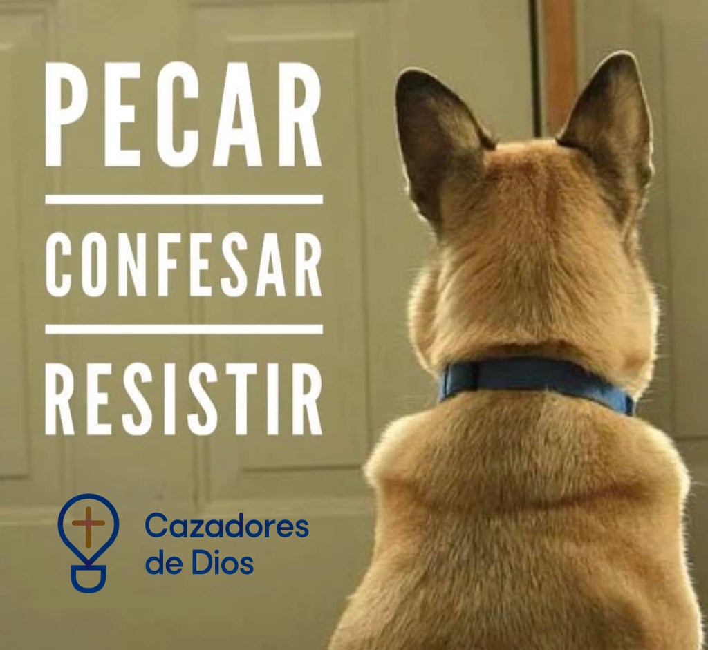 Pecar, confesar, resistir
