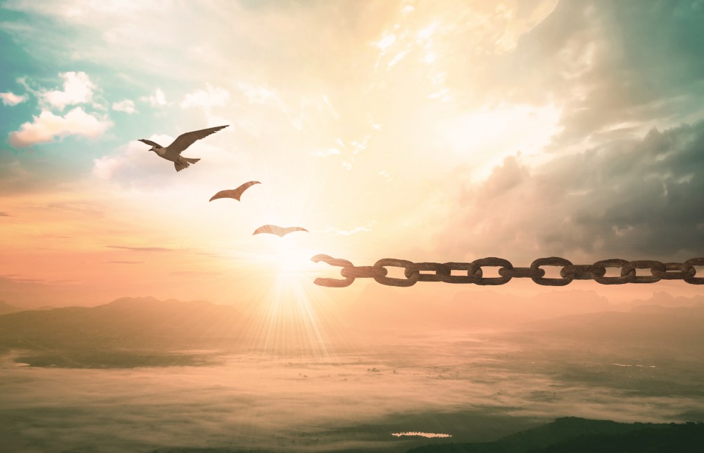 Doce pasos hacia el&nbsp;perdón